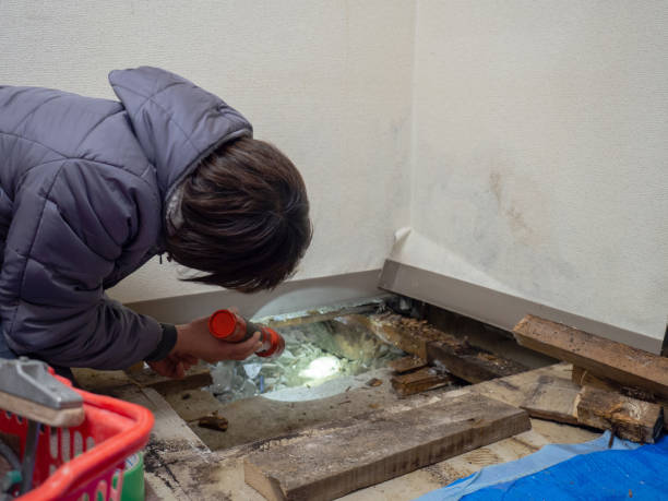 Best Comprehensive Air Testing for Mold Contaminants  in Beattyville, KY