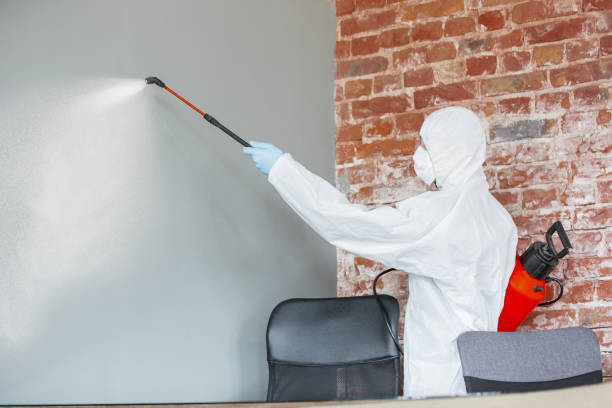 Best Real Estate Mold Inspection  in Beattyville, KY