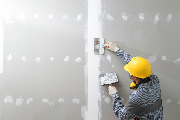 Best Basement Mold Removal  in Beattyville, KY