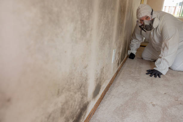 Best Biohazard Mold Removal  in Beattyville, KY